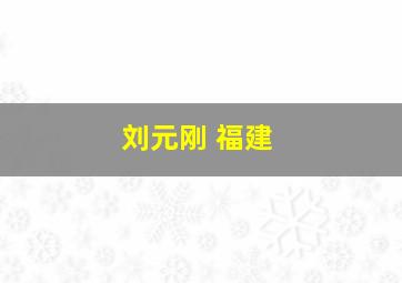 刘元刚 福建